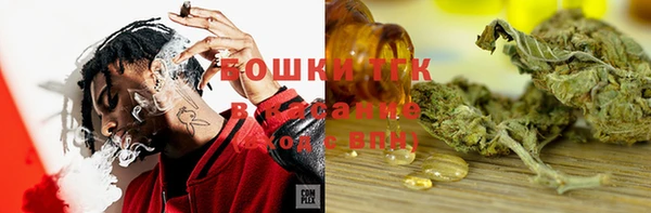 гашик Беломорск